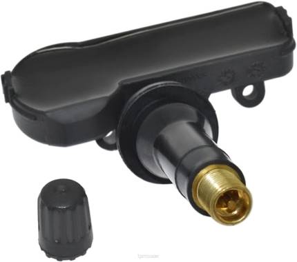 مستشعر الضغط TPMS كيا 529333t000 461 ميجا هرتز رمز TPMS في السيارة F4XB1684