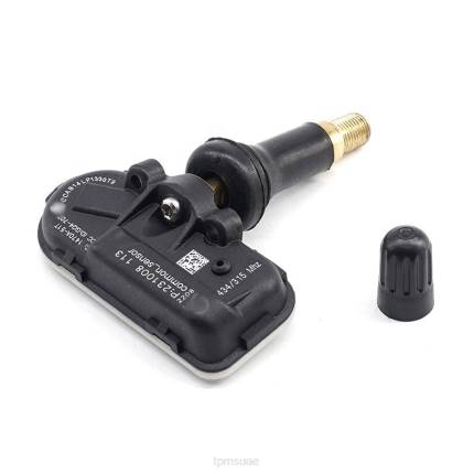 مستشعر ضغط الإطارات شيري TPMS 802000021AA معنى TPMS في السيارة F4XB1242